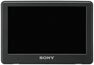 sony20110119e.jpg