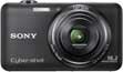 sony20110309e.jpg